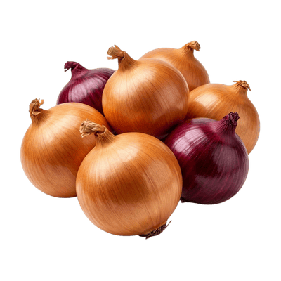Onion